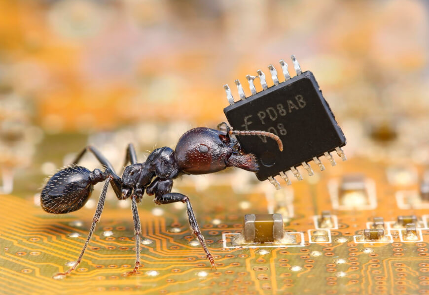 Ant with Microchip - Nanotechnology in Healthcare
