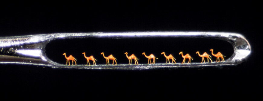 Miniature Camels - Nanotechnology in Healthcare
