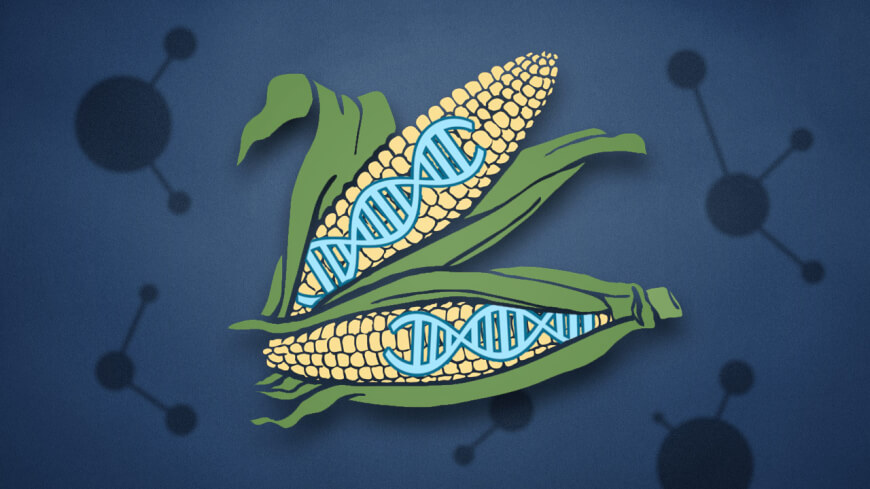 CRISPR/CAS9