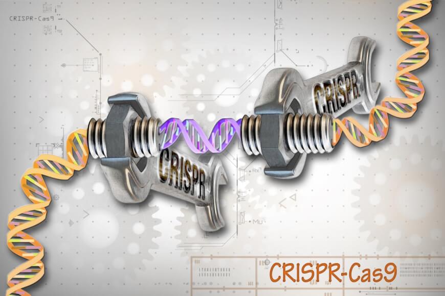 CRISPR/CAS9