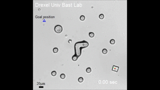 Magnetic Bacteria - Nanotechnology in Healthcare