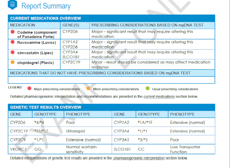 MyDNA Review_Report Summary2