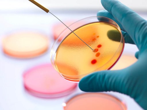 microbiome testing