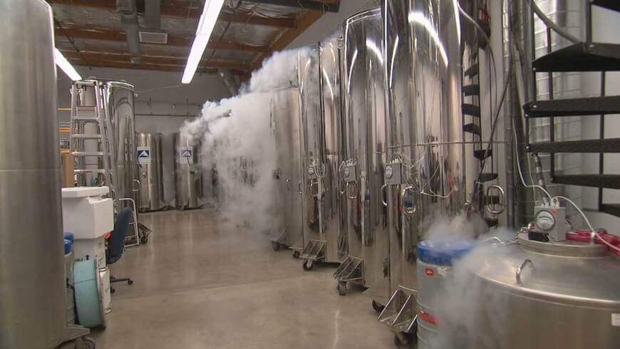 cryosleep