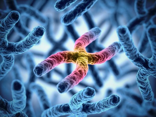 nanotechnology