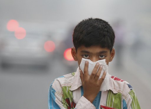 climate catastrophe