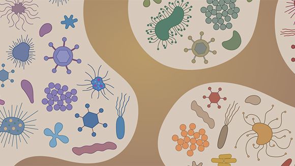 future of gastroenterology